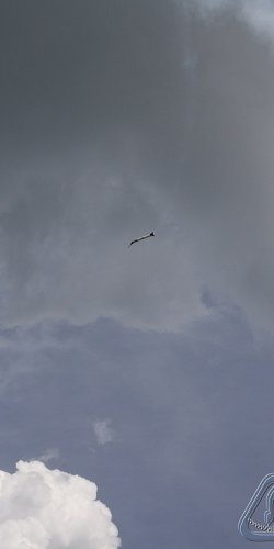 2012 Svojek mirek sobota